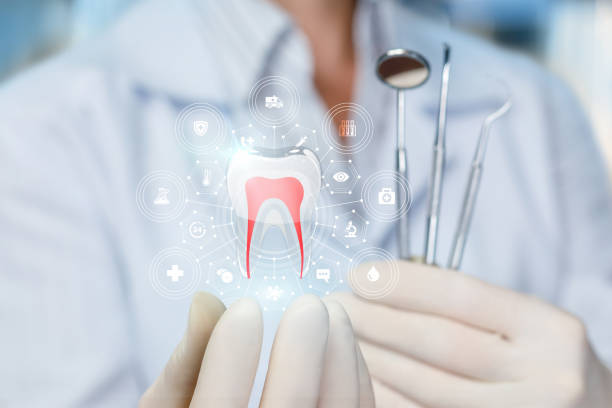 Trusted Fircrest, WA Holistic Dental Care Services Experts