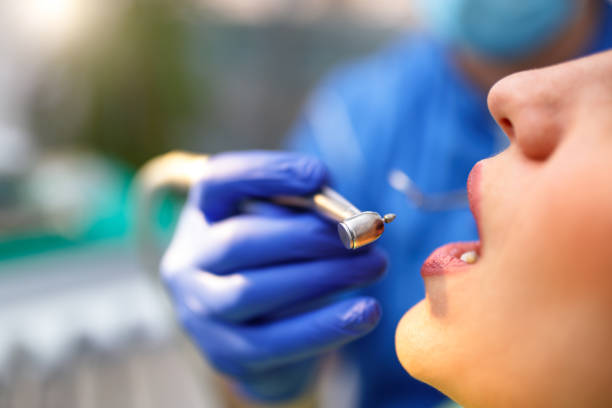 Professional Holistic Dental Care Services in Fircrest, WA